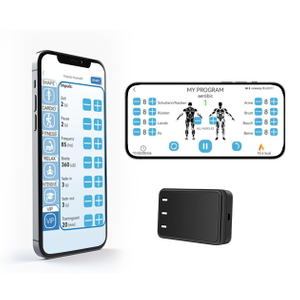 Mobile APP version