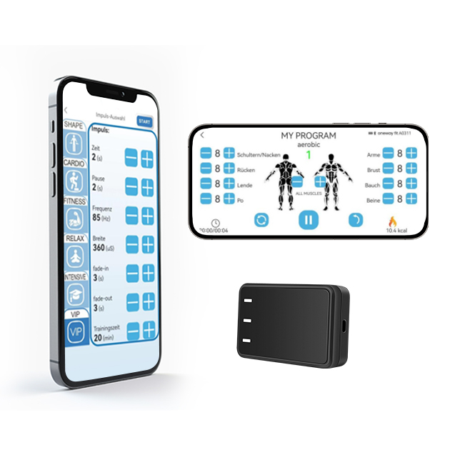 Mobile APP version