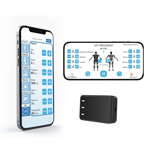 Mobile APP version