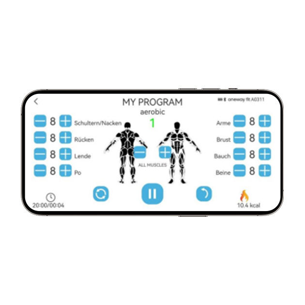 Mobile APP version